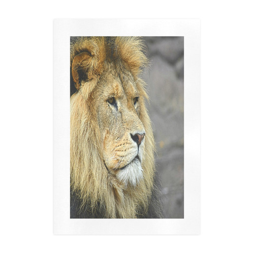 Majestic Lion Art Print 19‘’x28‘’
