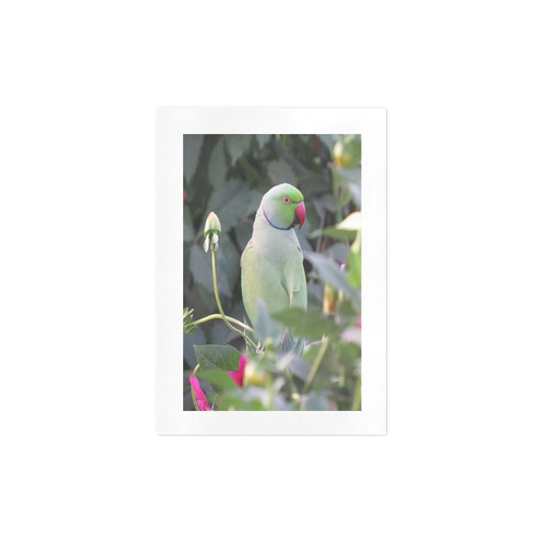 Colorful Parakeet Art Print 7‘’x10‘’