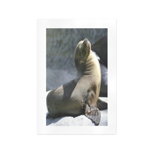 Baby Seal Art Print 13‘’x19‘’