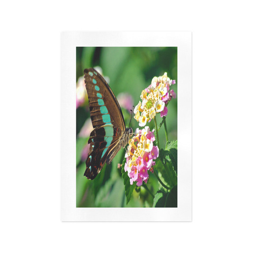 Swallowtail Butterfly Art Print 13‘’x19‘’