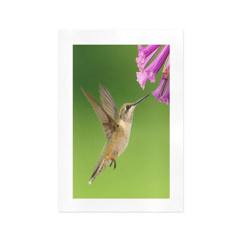 Hummingbird Delight Art Print 13‘’x19‘’