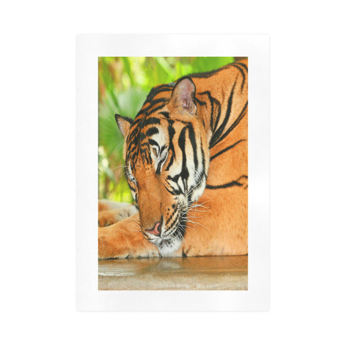 Sleeping Tiger Art Print 16‘’x23‘’