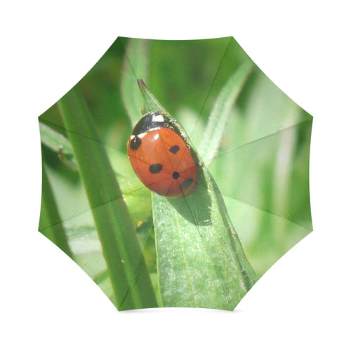 lady bug by JamColors