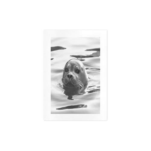 Floating Seal Art Print 7‘’x10‘’
