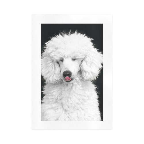 Silly White Poodle Art Print 16‘’x23‘’