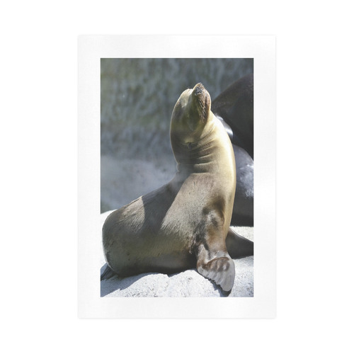 Baby Seal Art Print 16‘’x23‘’