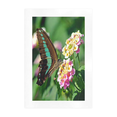 Swallowtail Butterfly Art Print 19‘’x28‘’