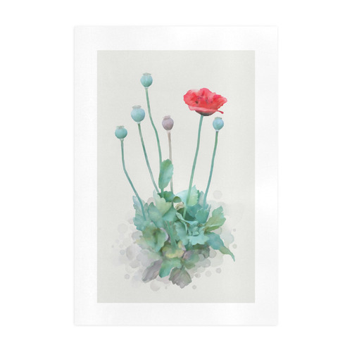 Watercolor Poppy, botanical illustration, floral Art Print 19‘’x28‘’