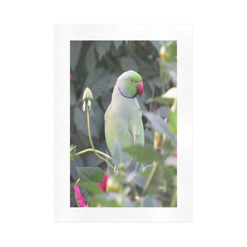Colorful Parakeet Art Print 16‘’x23‘’