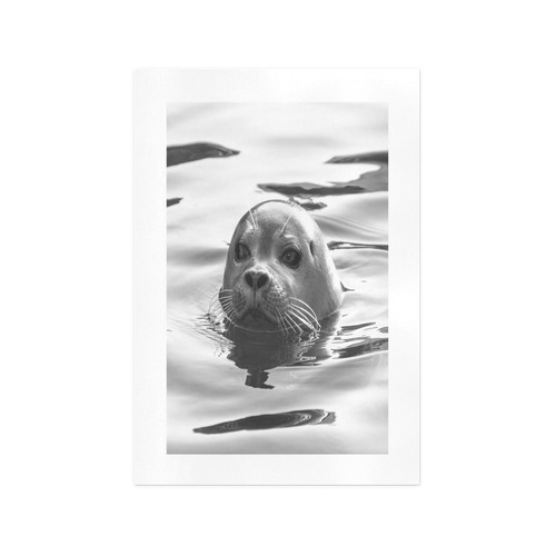 Floating Seal Art Print 13‘’x19‘’