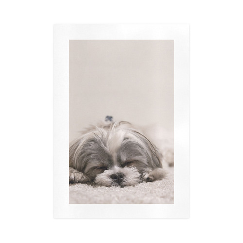 Sleeping Puppy Art Print 16‘’x23‘’