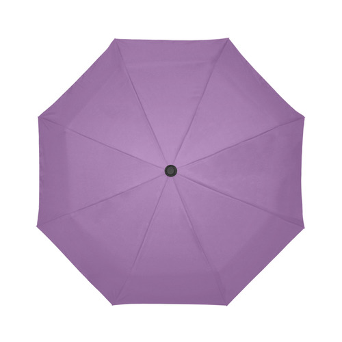 Dewberry Auto-Foldable Umbrella (Model U04)