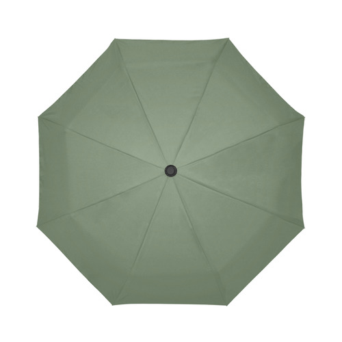 Vineyard Green Auto-Foldable Umbrella (Model U04)