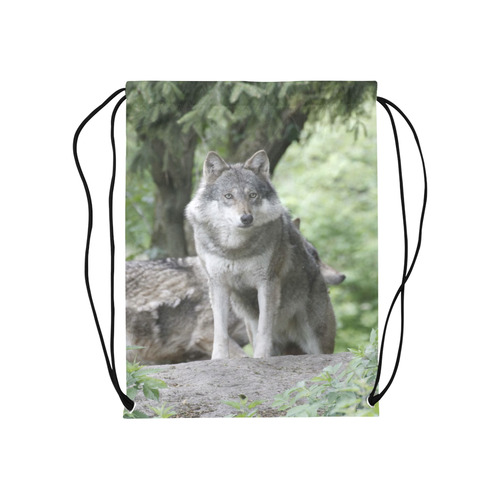 Wolf 14AJ by JamColors Medium Drawstring Bag Model 1604 (Twin Sides) 13.8"(W) * 18.1"(H)