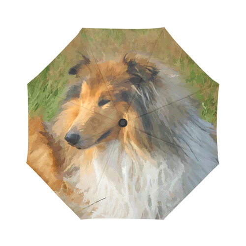 Collie Dog in Grassy Field Auto-Foldable Umbrella (Model U04)