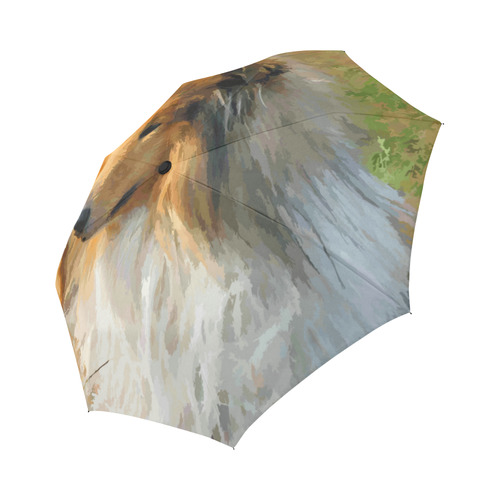 Collie Dog in Grassy Field Auto-Foldable Umbrella (Model U04)