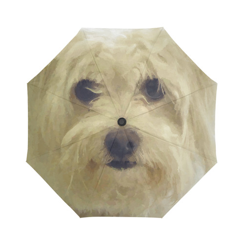 Shaggy Dog Modern Portrait Art Auto-Foldable Umbrella (Model U04)