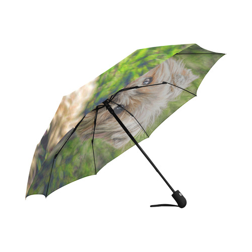 Photography - PRETTY LITTLE DOG Auto-Foldable Umbrella (Model U04)