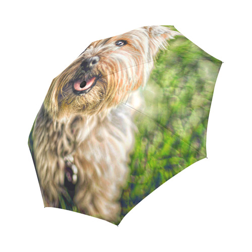 Photography - PRETTY LITTLE DOG Auto-Foldable Umbrella (Model U04)