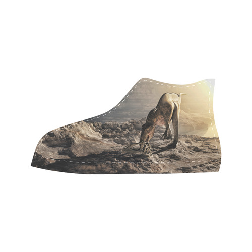 Acrocanthosaurus Dinosaur Aquila High Top Microfiber Leather Men's Shoes (Model 032)