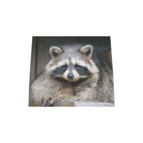 Raccoon Fine Modern Art Animal Boston Handbag (Model 1621)