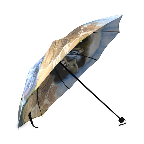 Skull Foldable Umbrella (Model U01)