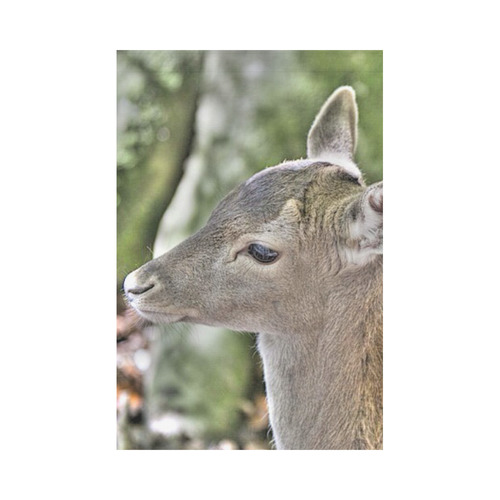 young deer by JamColors Garden Flag 12‘’x18‘’（Without Flagpole）