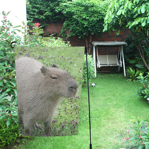 cute capybara
