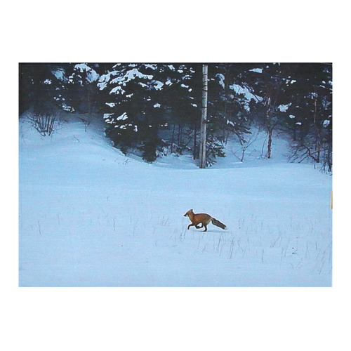 Fox on the Run Cotton Linen Tablecloth 60"x 84"