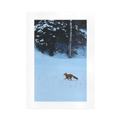 Fox on the Run Art Print 16‘’x23‘’