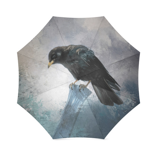 A beautiful painted black crow