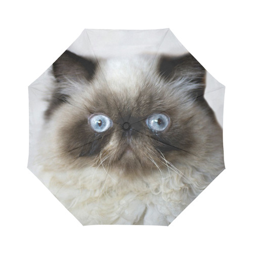 Funny Cat Auto-Foldable Umbrella (Model U04)