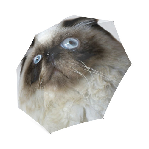 Funny Cat Foldable Umbrella (Model U01)