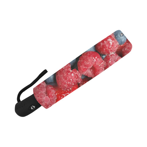 Berries Auto-Foldable Umbrella (Model U04)