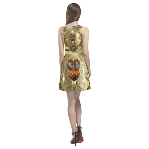 Steampunk, wonderful owl Thea Sleeveless Skater Dress(Model D19)