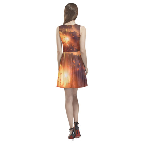 The universe Thea Sleeveless Skater Dress(Model D19)