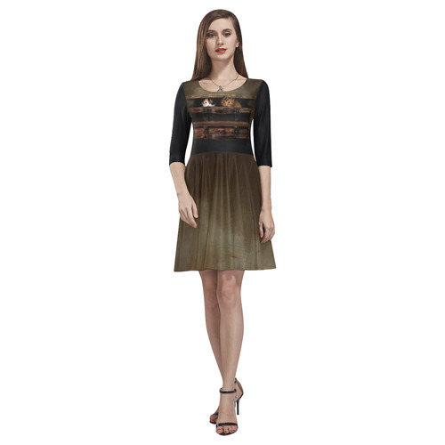 Little cute kitten in an old wooden case Tethys Half-Sleeve Skater Dress(Model D20)