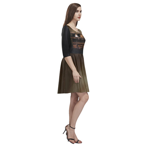 Little cute kitten in an old wooden case Tethys Half-Sleeve Skater Dress(Model D20)