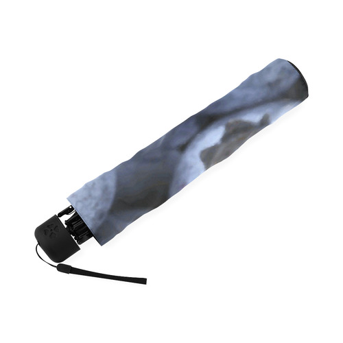 Blueberries Leaf Fruit Food Foldable Umbrella (Model U01)