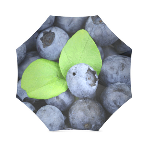 Blueberries Leaf Fruit Food Foldable Umbrella (Model U01)