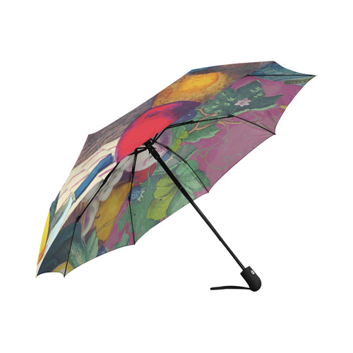 Vintage Fruit Melon Pear Grape Floral Auto-Foldable Umbrella (Model U04)