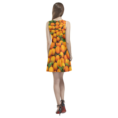 Oranges Fruit Thea Sleeveless Skater Dress(Model D19)