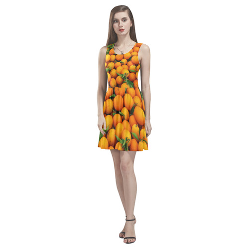 Oranges Fruit Thea Sleeveless Skater Dress(Model D19)