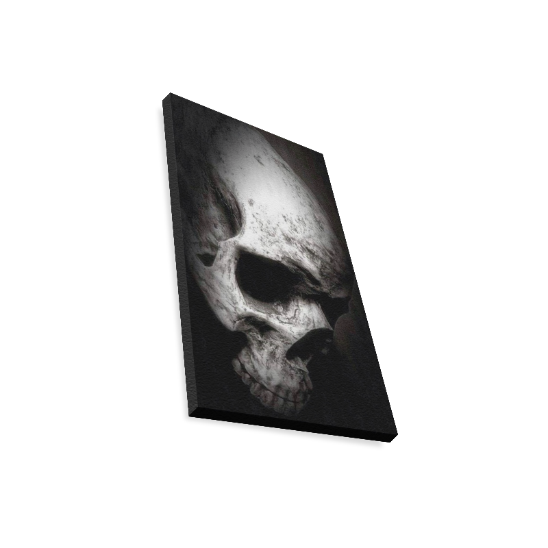 natural skull Canvas Print 12"x18" ID D1437847