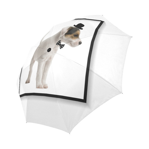 BABYDOG Auto-Foldable Umbrella (Model U04)