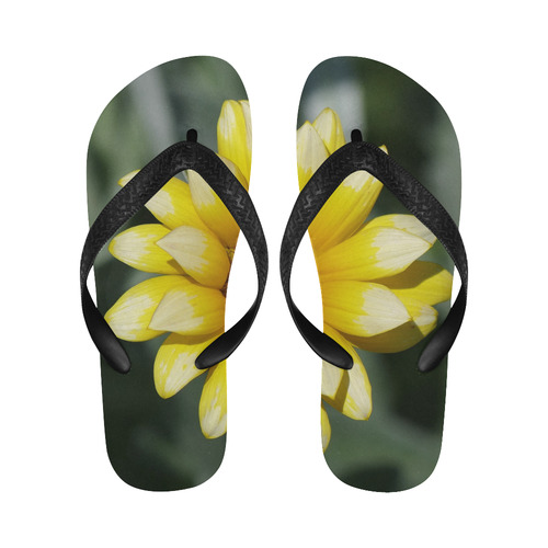 Yellow Flower, floral photo