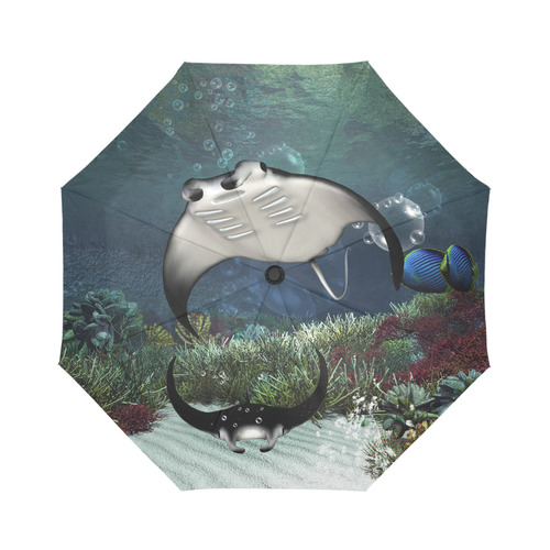 Awesme manta Auto-Foldable Umbrella (Model U04)