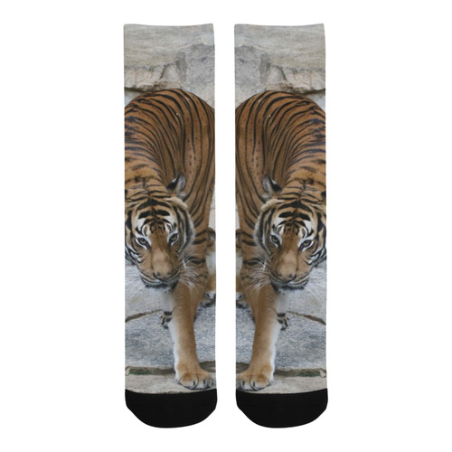 Tiger 1216 AJ by JamColors Trouser Socks