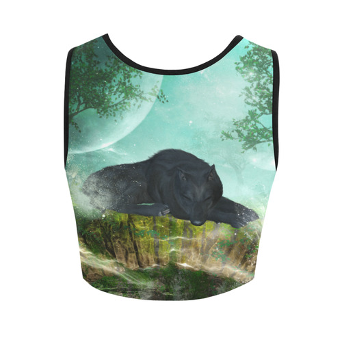 Sleeping wolf in the night Women's Crop Top (Model T42)