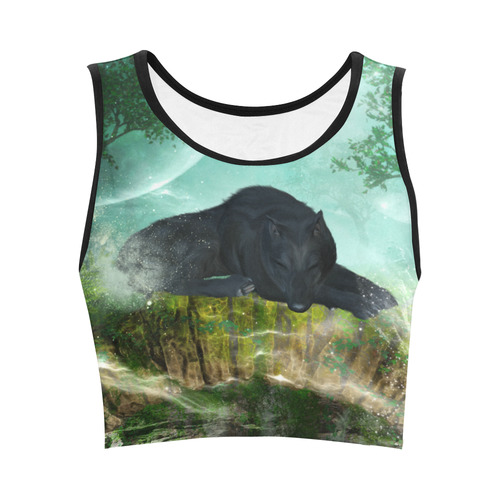 Sleeping wolf in the night Women's Crop Top (Model T42)